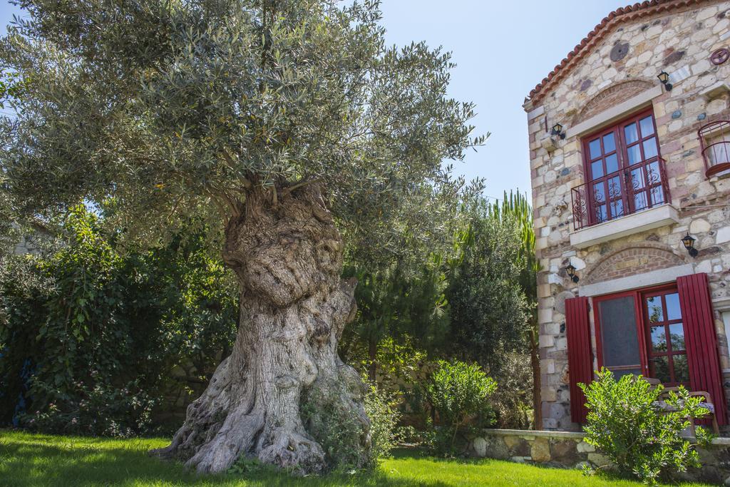 Alacati Zeytin Konak Hotel Luaran gambar